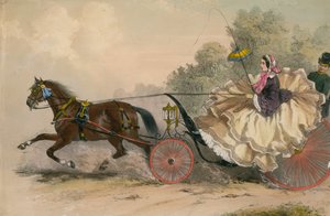 Horse and carriage at speed with a lady at the whip; prostitution