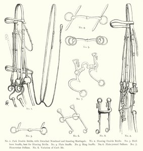 Horse bridles by English School
