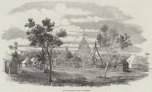 Horticultural Fete, at Colombo