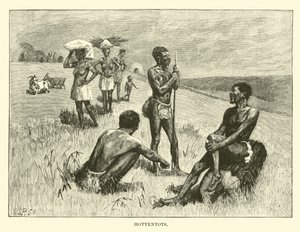 Hottentots
