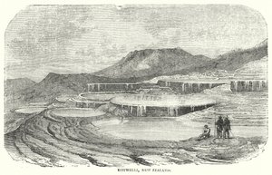 Hotwells, New Zealand (engraving) by English School