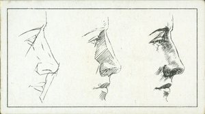 How to Sketch: The Nose