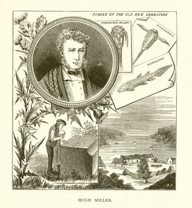 Hugh Miller by English School