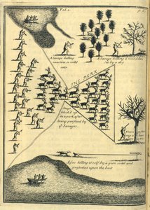 Hunting, 1703