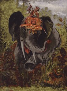 Hunting tigers on elephants, India by English School