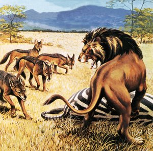 Hyenas Coming to Clear Up After a Lion by English School