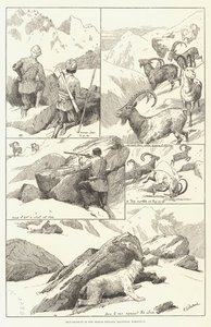 Ibex-Shooting in the Shigar Nullahs, Baltistan, Himalayas by English School