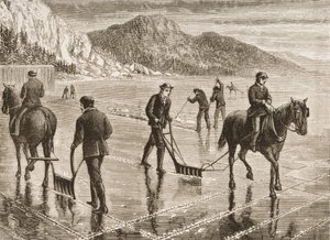 Ice-Harvest on the Hudson River, New York State, c.1870, from 