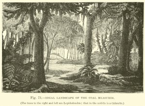 Ideal Landscape of the Coal Measures by English School