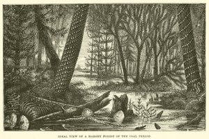 Ideal View of a Marshy Forest of the Coal Period by English School