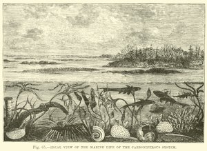 Ideal View of the Marine Life of the Carboniferous System by English School