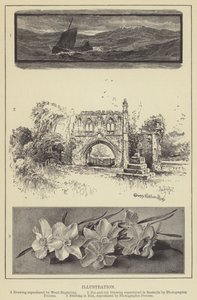 Illustration