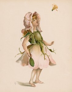 Illustration for The Language of Flowers by English School