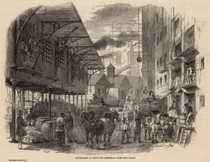 Importation of Fruit for Christmas