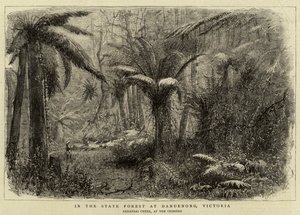 In the State Forest at Dandenong, Victoria by English School