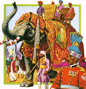 Indian elephant