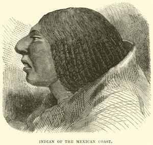 Indian of the Mexican Coast by English School