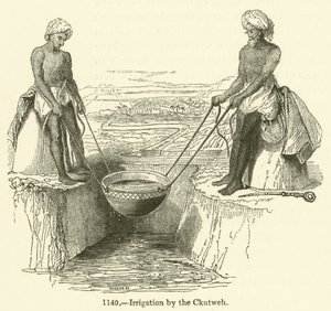 Irrigation by the Ckutweh by English School