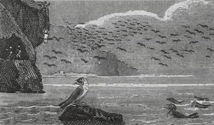 Isle of Man by English School