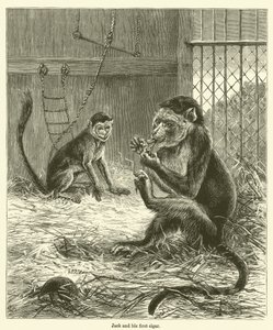 Jack and His First Cigar by English School