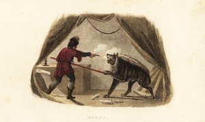 James Bruce killing a hyena with pistol and pike in his tent in Maitsha, Abyssinia