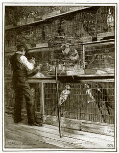 Jamrachs, The Aviary