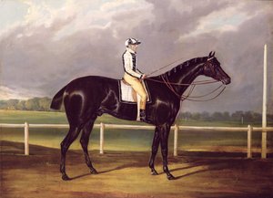 Jerry, Winner of the St. Leger in 1824