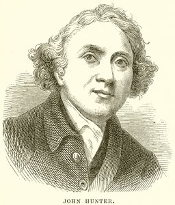 John Hunter by English School