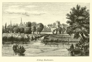 Kidney Backwater by English School