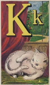 Kitten