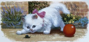 Kitten with snail and ball