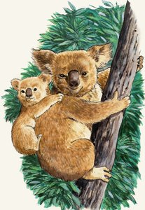 Koala Bear and Baby