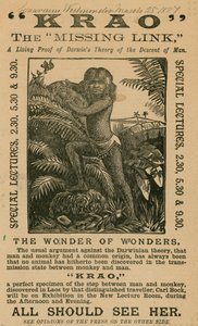 Krao, The Missing Link, exhibited at the Aquarium, Westminster, London, in 1887 by English School