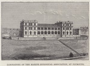 Laboratory of the Marine Biological Association, at Plymouth by English School