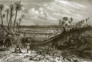 Landscape in the Island of Cuba by English School