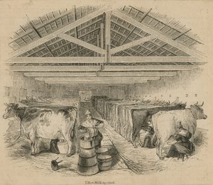 Laycocks Dairy Farm, dated July 1841