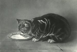 The Glutton