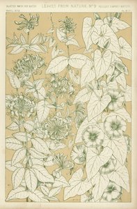 Leaves from Nature