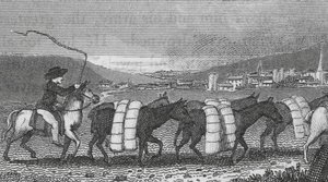 Leeds, Cloth Trade by English School