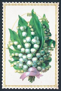 Lily Of The Valley Plant