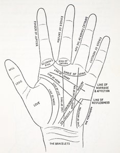 Lines of the Hand