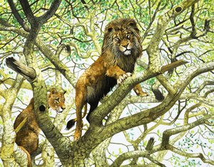 Lion and Lioness in a Tree by English School