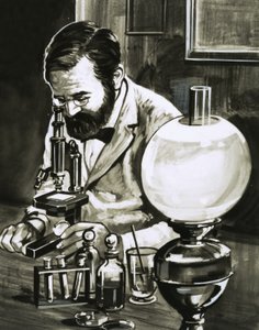 Louis Pasteur by English School
