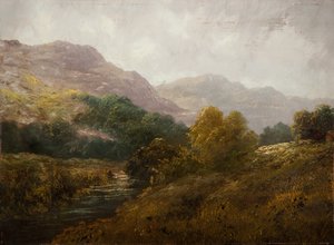 Lowland Landscape