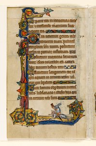 A Rabbit Riding a Hound, Hunting, Marginal Decoration from the Macclesfield Psalter, Use of Sarum, East Anglia (c.1330)