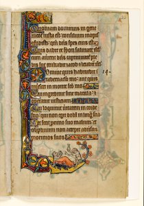 The Ape-doctor and His Bear-patient, Marginal Decoration from the Macclesfield Psalter, Use of Sarum, East Anglia (c.1330) by English School