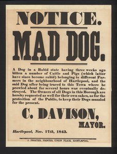Mad dog notice, Hartlepool, 1843
