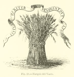 Marquis del Vasto by English School
