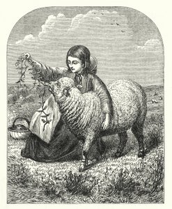 Mary