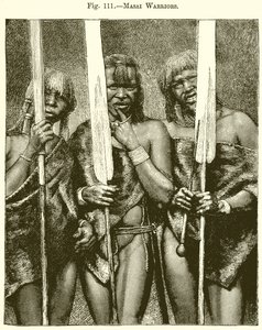 Masai Warriors by English School